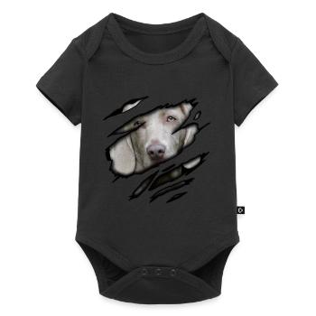 Weimaraner in me - Baby Premium short-sleeve bodysuit - black - Front