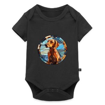 Braque du Bourbonnais Hunderasse Buntglas Colo - Baby Premium Kurzarmbody - Schwarz - Vorne