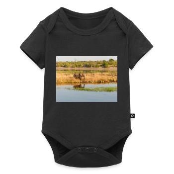 Paysage dans le parc national de Chobe sur l’île de Sedudu - Body à manches courtes Premium Bébé - noir - Devant