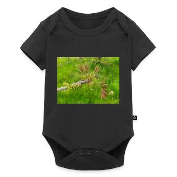 Persian walnut also common walnut Juglans regia - Baby Premium short-sleeve bodysuit - black - Front