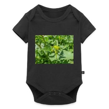 schwarzer Senf Rhamphosp - Baby Premium Kurzarmbody - Schwarz - Vorne