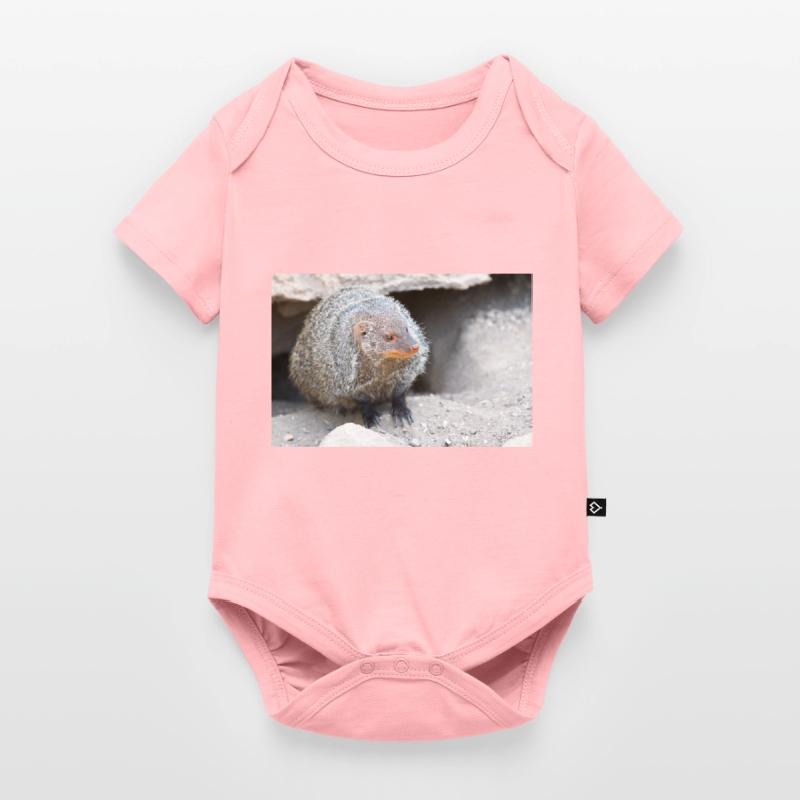 Gebänderte Manguste oder Zebramanguste Baby Premium Kurzarmbody