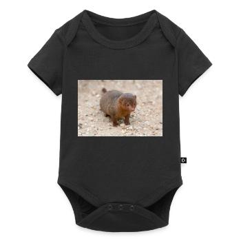 dwarf mongoose (in german Zwergmangusten) Helogale - Baby Premium short-sleeve bodysuit - black - Front