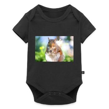 Grauhörnchen essen - Baby Premium Kurzarmbody - Schwarz - Vorne