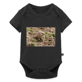 African ground squirrels Borstenhörnchen Xerus - Baby Premium short-sleeve bodysuit - black - Front