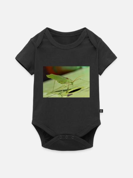 Krauss-Buschgrille Isophya kraussii - Baby Premium Kurzarmbody - Schwarz