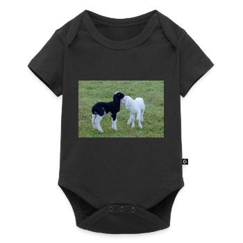 Agneaux noirs et blancs - Body à manches courtes Premium Bébé - noir - Devant
