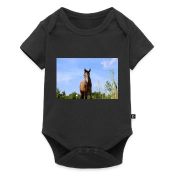 cheval - Body à manches courtes Premium Bébé - noir - Devant