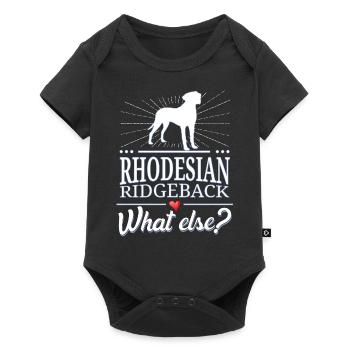 Rhodesian Ridgeback what else? - Baby Premium Kurzarmbody - Schwarz - Vorne