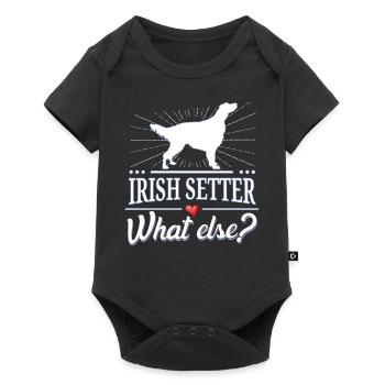 Irish Red Setter what else? Irish Setter - Baby Premium Kurzarmbody - Schwarz - Vorne
