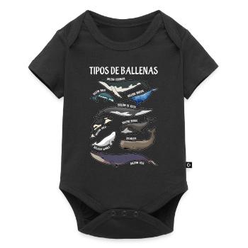 Types of whales Ilustaciones Spanish - Baby Premium short-sleeve bodysuit - black - Front