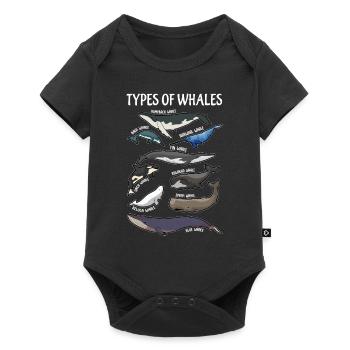 Types of whales English illusts - Baby Premium short-sleeve bodysuit - black - Front