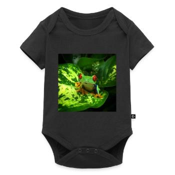 Red Eyed Tree Frog Owner Exotic Pet Wildlife - Baby Premium short-sleeve bodysuit - black - Front