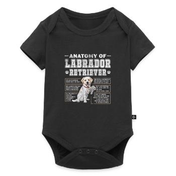 Labrador - Baby Premium short-sleeve bodysuit - black - Front