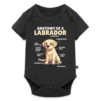 Explication du chien Anatomie d’un Labrador - Body à manches courtes Premium Bébé - noir - Devant
