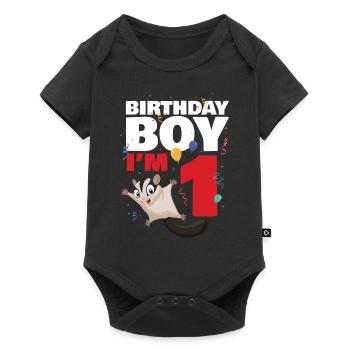 Birthday boy or girl in 2 Sugar Glider - Baby Premium short-sleeve bodysuit - black - Front