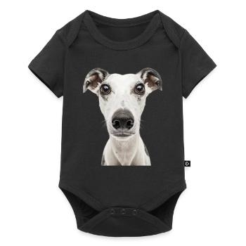 Whippet - Baby Premium short-sleeve bodysuit - black - Front