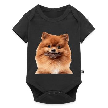 Dwarf spitz - Baby Premium short-sleeve bodysuit - black - Front