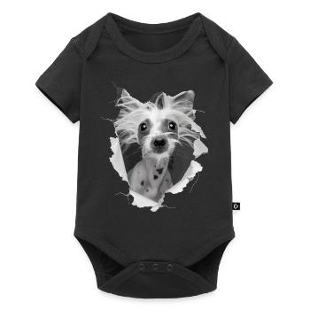 Chinesischer Schopfhund - Baby Premium Kurzarmbody - Schwarz - Vorne