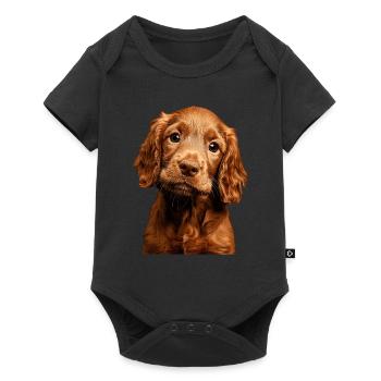 Irish Setter - Baby Premium Kurzarmbody - Schwarz - Vorne