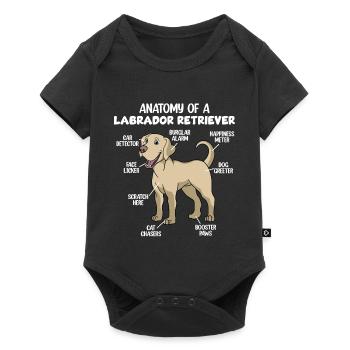 Anatomie d’un Labrador Retriever - Body à manches courtes Premium Bébé - noir - Devant