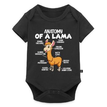 Anatomy of a llama - Baby Premium short-sleeve bodysuit - black - Front