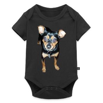 Miniature Pinscher dog - Baby Premium short-sleeve bodysuit - black - Front