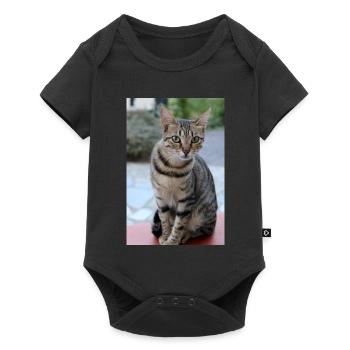 Cat Kitten Poster Cat Poster - Baby Premium short-sleeve bodysuit - black - Front