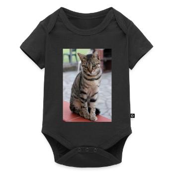 Cat Kitten Poster Cat Poster - Baby Premium short-sleeve bodysuit - black - Front