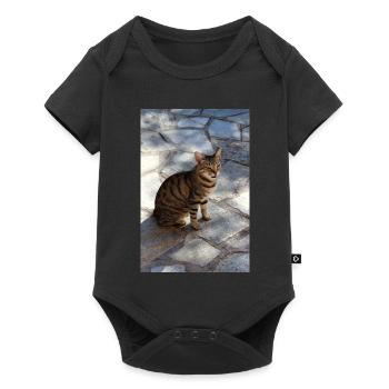 Cat Kitten - Baby Premium short-sleeve bodysuit - black - Front