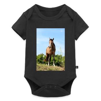 Horse Horse Poster - Baby Premium short-sleeve bodysuit - black - Front