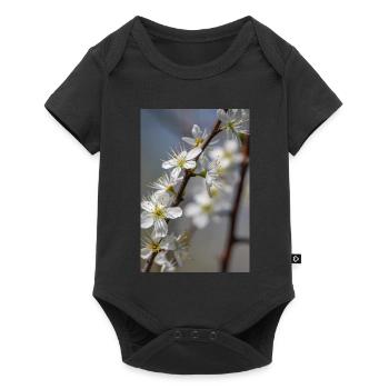 Zarte weiße Kirschblüten im Frühling - Baby Premium Kurzarmbody - Schwarz - Vorne