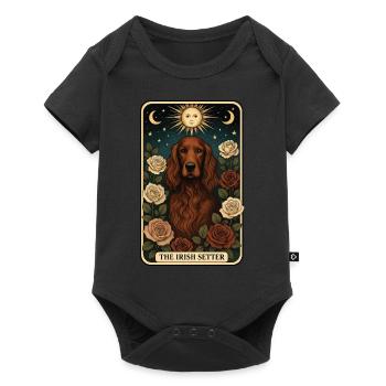 Irish Setter - Baby Premium Kurzarmbody - Schwarz - Vorne
