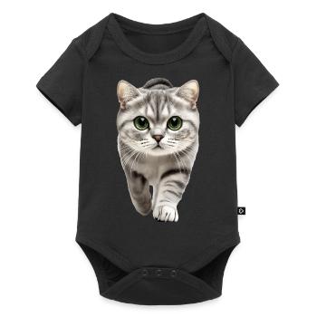 Schottische Faltohrkatze - Baby Premium Kurzarmbody - Schwarz - Vorne
