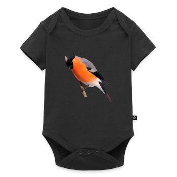 Gimpel Dompfaff sits on branch - Baby Premium short-sleeve bodysuit - black - Front