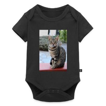 chat, chaton - Body à manches courtes Premium Bébé - noir - Devant