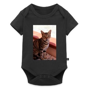chat, chaton - Body à manches courtes Premium Bébé - noir - Devant
