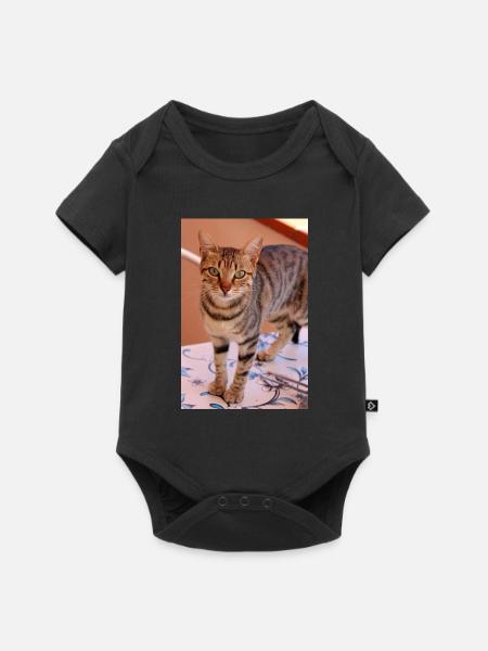 Katze, Kätzchen - Baby Premium Kurzarmbody - Schwarz