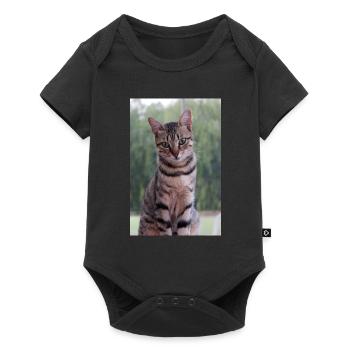 Chat chat chaton doux - Body à manches courtes Premium Bébé - noir - Devant