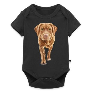 Labrador Retriever - Baby Premium Kurzarmbody - Schwarz - Vorne
