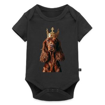 Irish Setter - Baby Premium short-sleeve bodysuit - black - Front