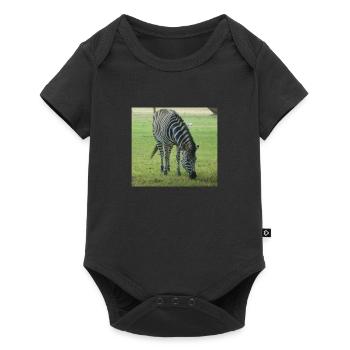 Close up of Zebra - Baby Premium short-sleeve bodysuit - black - Front