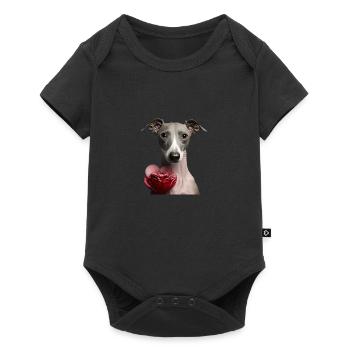 Italian Greyhound Valentins Tag - Baby Premium Kurzarmbody - Schwarz - Vorne