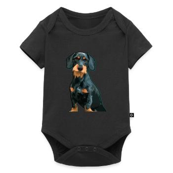 Badger Dog, Dachshund, Shorthaired Dachshund, Illustration - Baby Premium short-sleeve bodysuit - black - Front