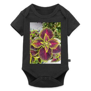 Le manteau de Joseph aussi l’amarante chinoise - Body à manches courtes Premium Bébé - noir - Devant
