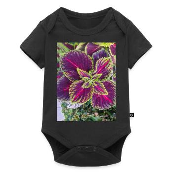 Le manteau de Joseph aussi l’amarante chinoise - Body à manches courtes Premium Bébé - noir - Devant