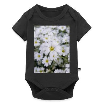 snow-in-summer also woolly thistle Hornkraut - Baby Premium short-sleeve bodysuit - black - Front