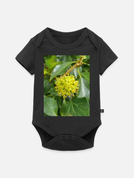 Persischer Efeu (Kolchischer Efeu) - Baby Premium Kurzarmbody - Schwarz