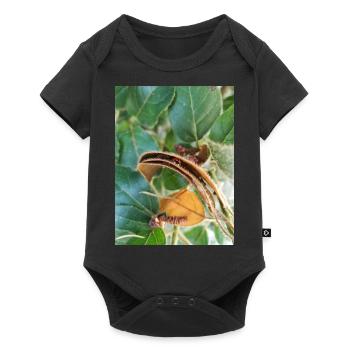 Coccinelle dans feuilles - Body à manches courtes Premium Bébé - noir - Devant