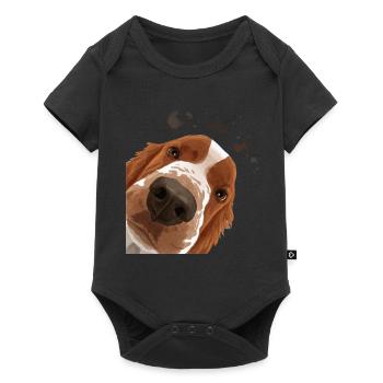 Curious Welsh Springer Spaniel Dog - Baby Premium short-sleeve bodysuit - black - Front